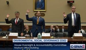 Witnesses in the House Oversight Committee ESG 1 hearing are sworn in.